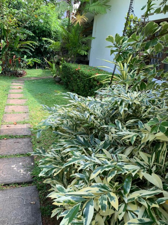 Tranquil Private Villa Near Bentota Beach المظهر الخارجي الصورة