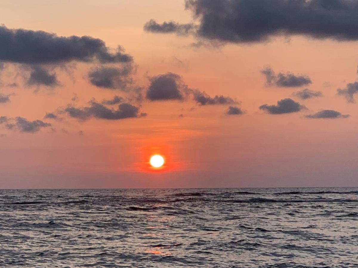 Tranquil Private Villa Near Bentota Beach المظهر الخارجي الصورة