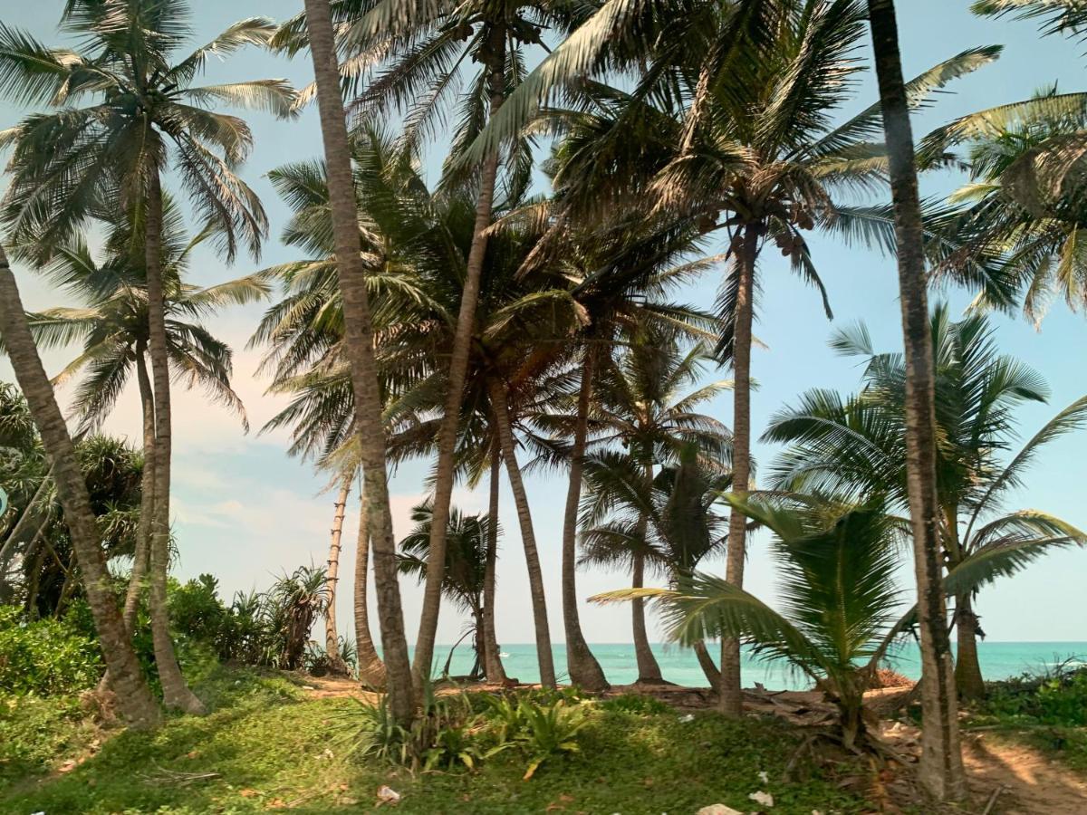 Tranquil Private Villa Near Bentota Beach المظهر الخارجي الصورة