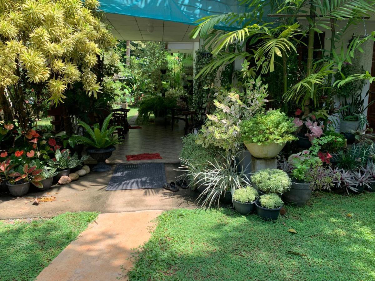 Tranquil Private Villa Near Bentota Beach المظهر الخارجي الصورة