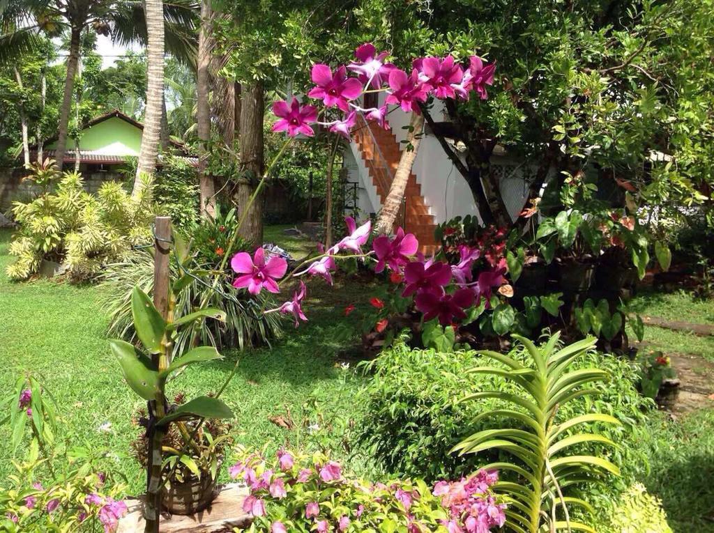 Tranquil Private Villa Near Bentota Beach المظهر الخارجي الصورة